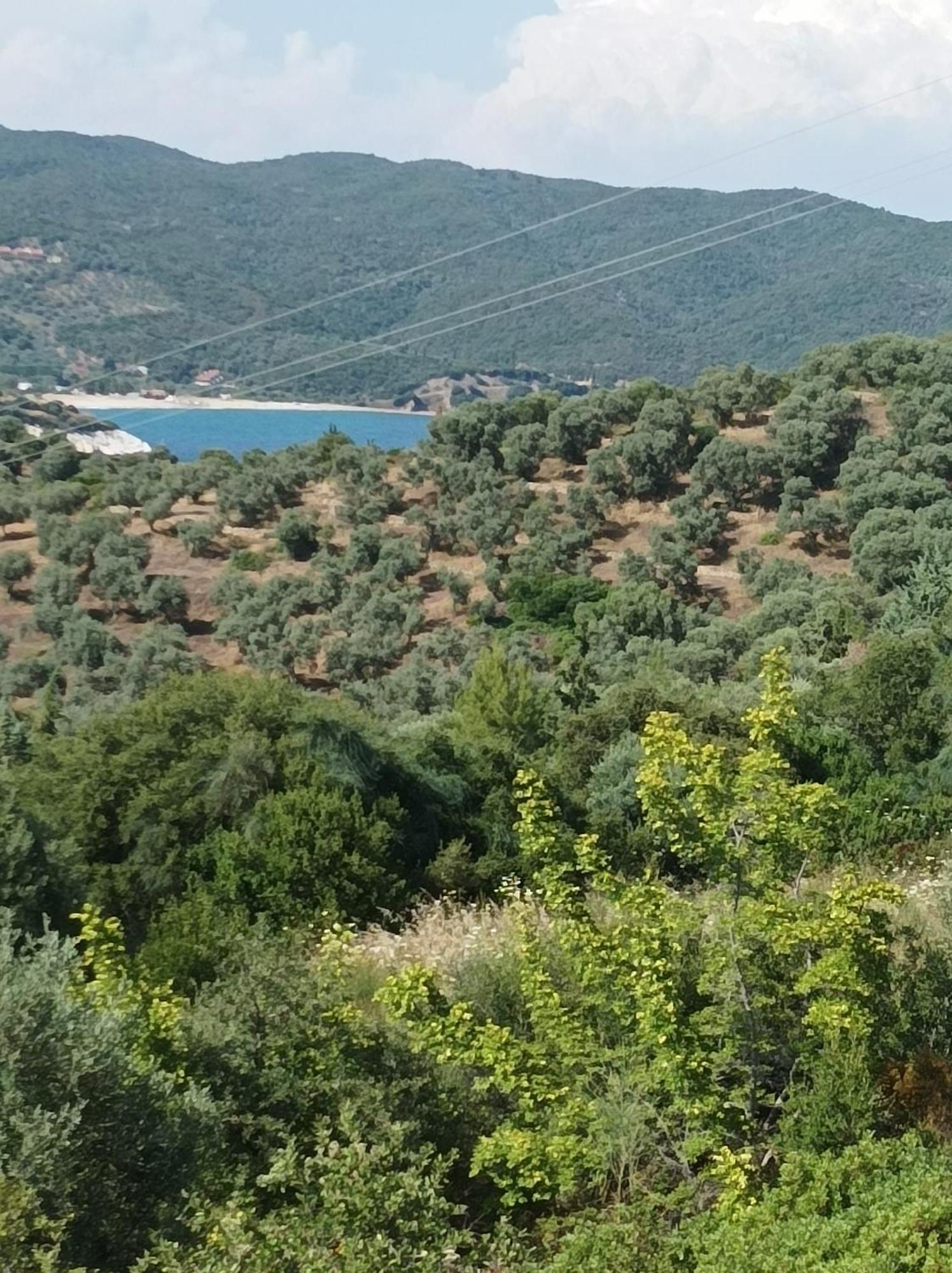 Art Hotel Panorama Pyrgadikia Buitenkant foto